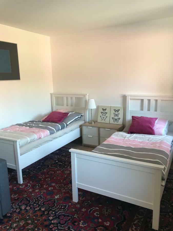 Gut Neuhof Apartment Alpenrod Екстериор снимка